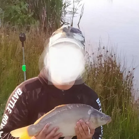 Ranczo Nad Stawem Nowa Wies Przywidzka